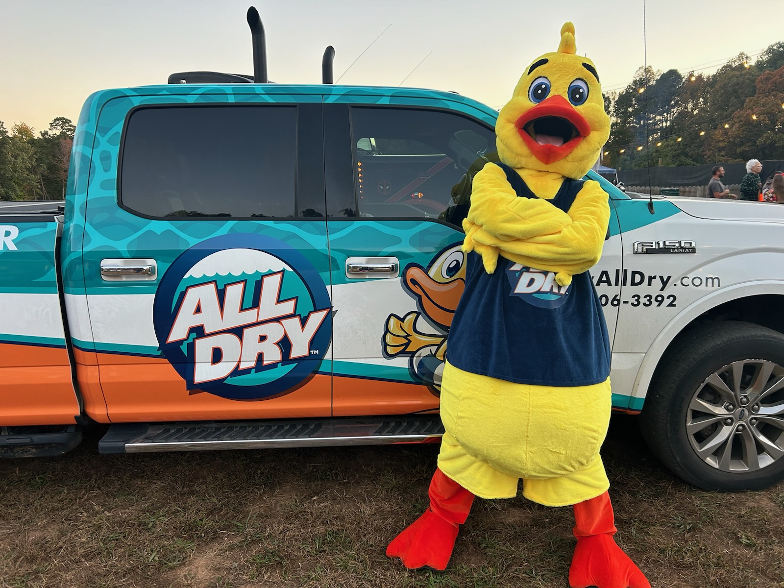 View Profile All Dry Services of East Richmond