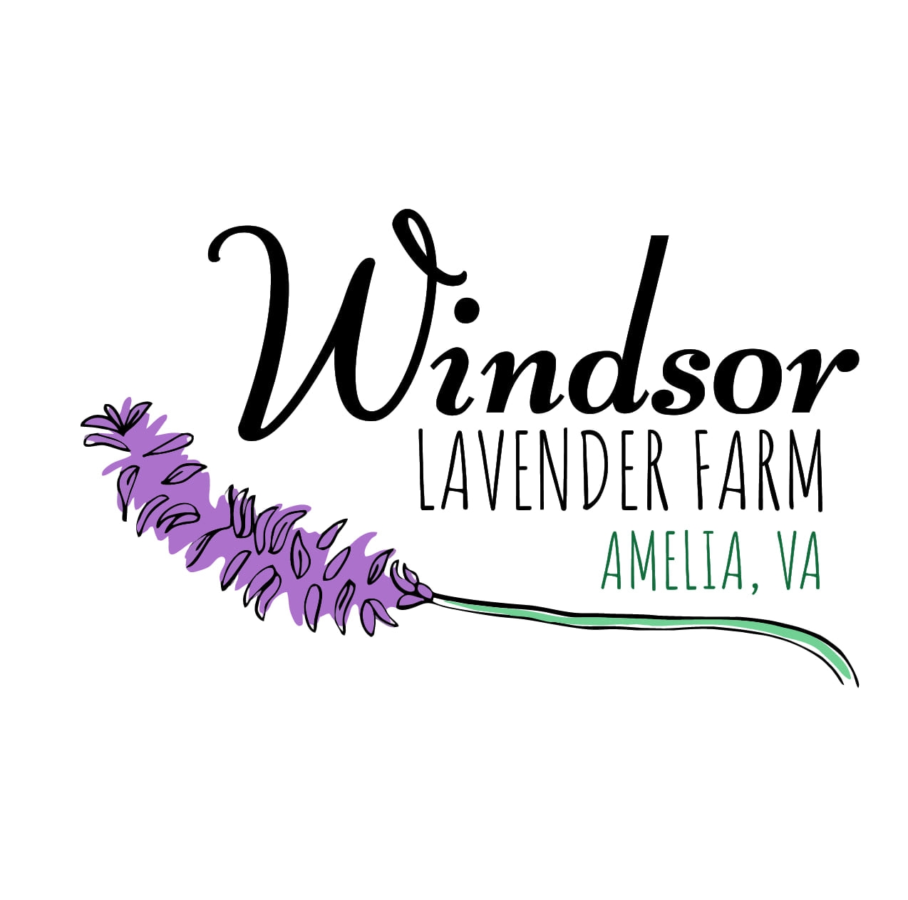 View Profile Windsor Lavender Farm
